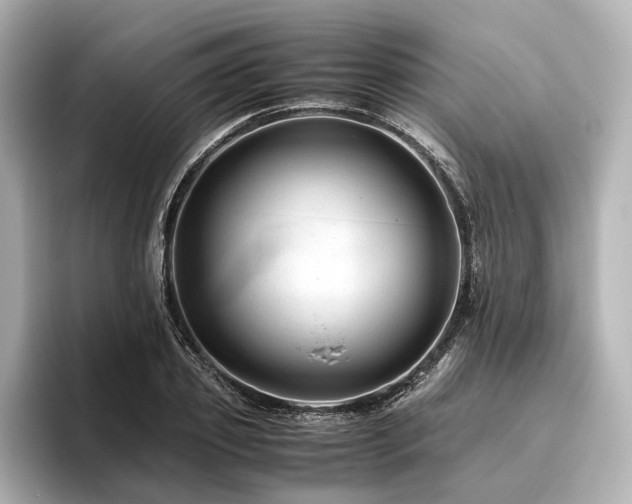 X0000096480933200801241441