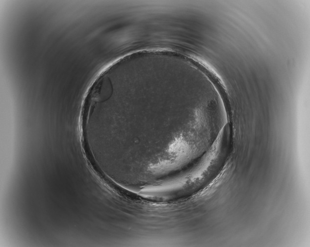 X0000096480935200801241441