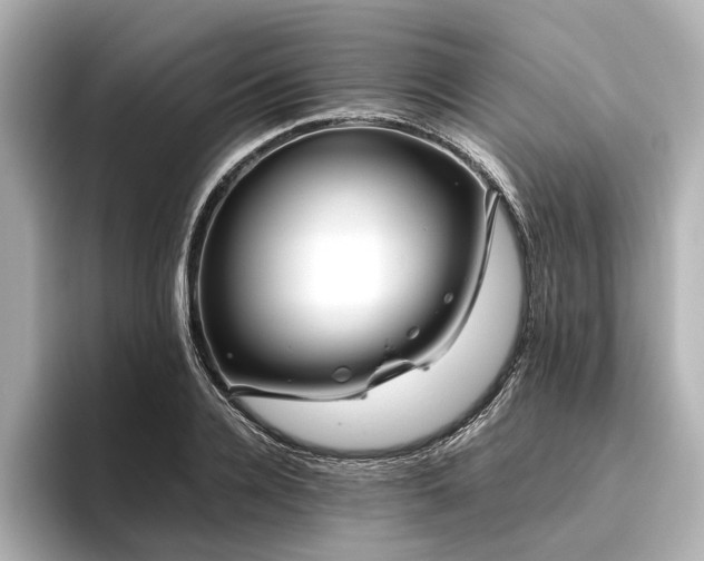 X0000096480936200801241441