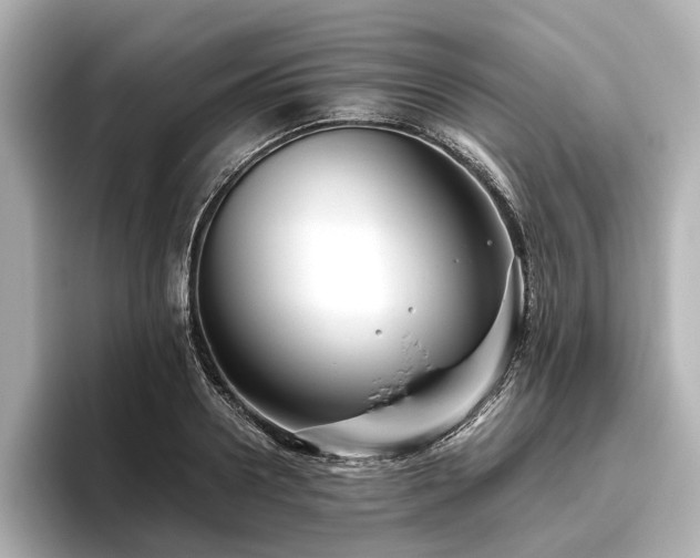 X0000096480938200801241441