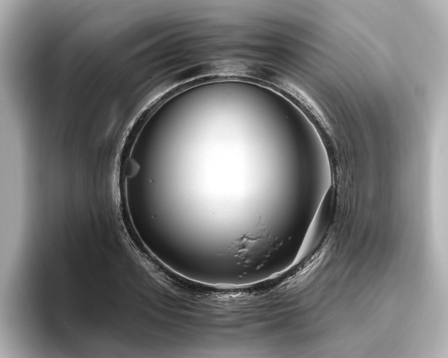 X0000096480939200801241441