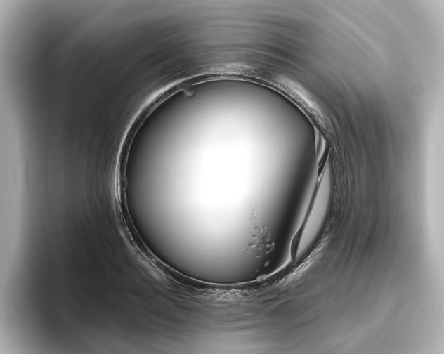 X0000096480940200801241441