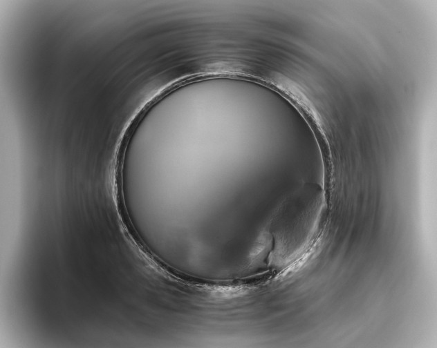 X0000096480941200801241441