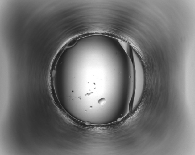 X0000096480942200801241441