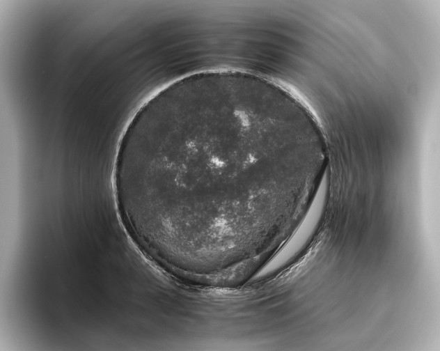 X0000096480943200801241441