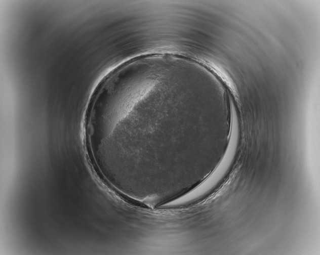 X0000096480944200801241441