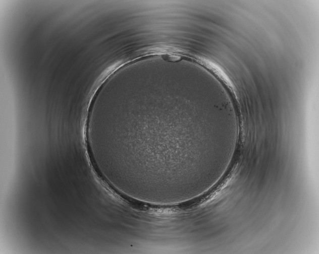 X0000096480946200801241441