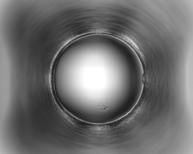 X0000096480947200801241441