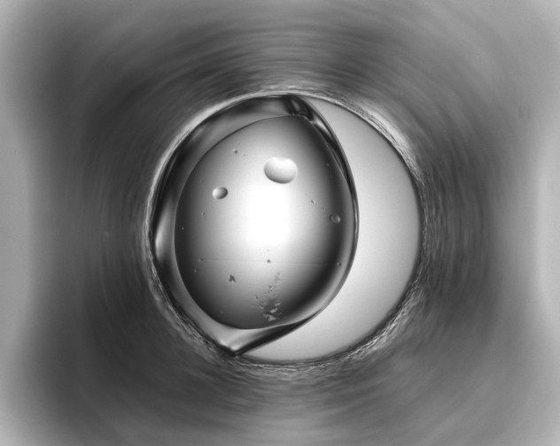 X0000096480948200801241442