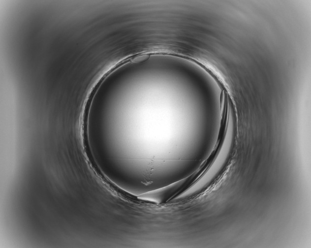 X0000096480949200801241442