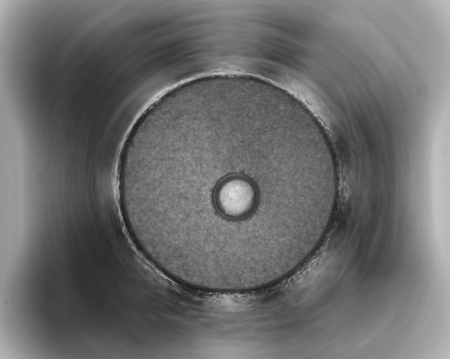 X0000096480950200801241442