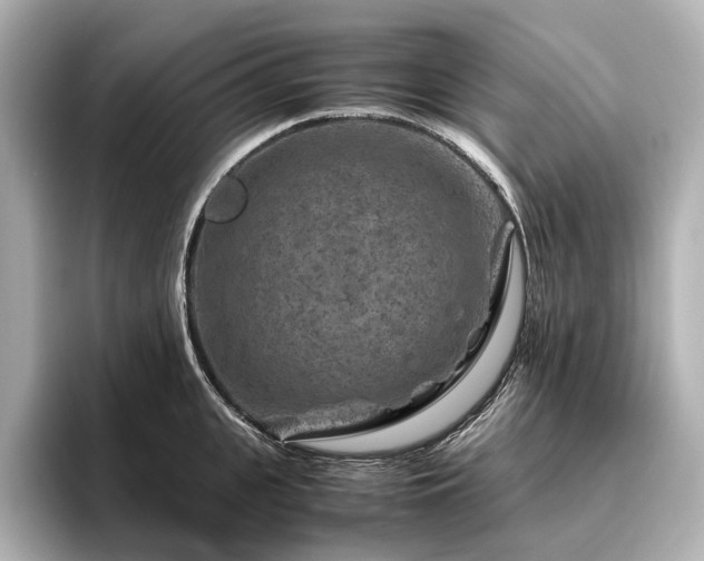 X0000096480951200801241442