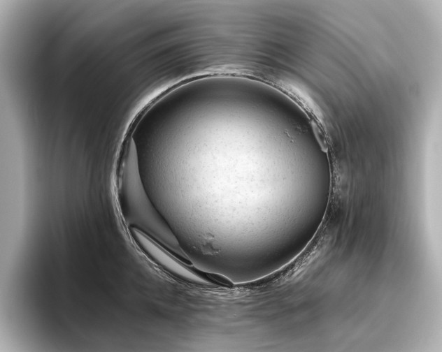 X0000096480952200801241442