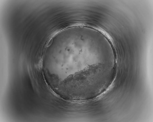 X0000096480953200801241442