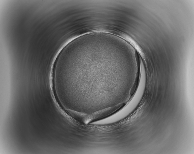 X0000096480955200801241442