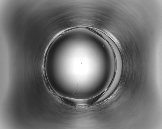 X0000096480956200801241442