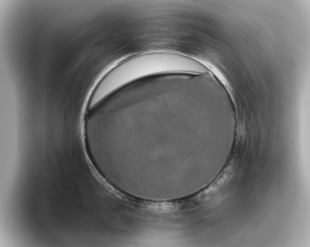 X0000096480957200801241442