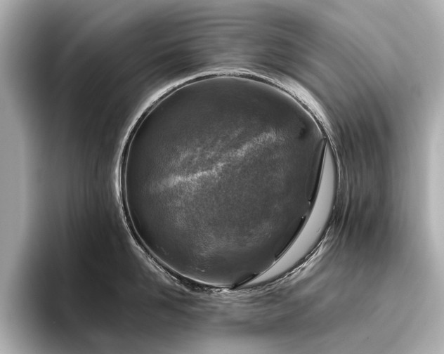 X0000096480958200801241442