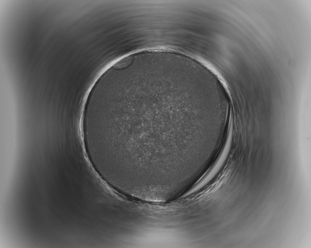 X0000096480959200801241442