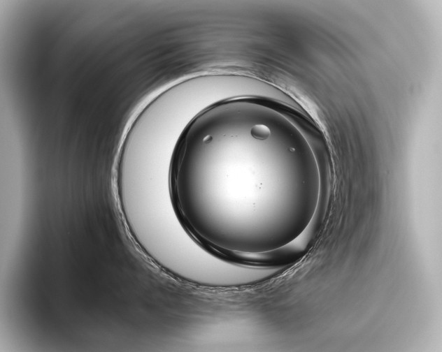 X0000096480960200801241442