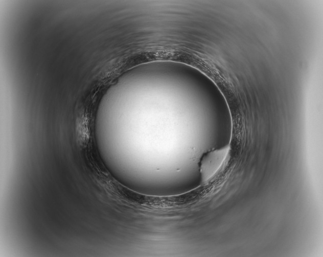 X0000096480962200801241441