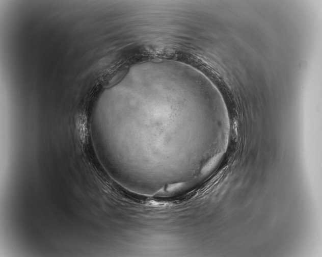 X0000096480963200801241441