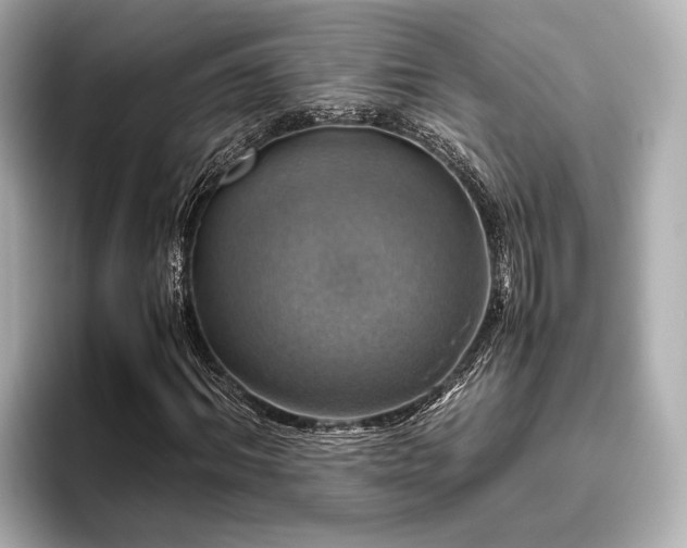 X0000096480964200801241441