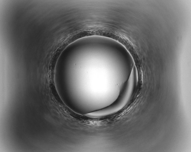 X0000096480965200801241441