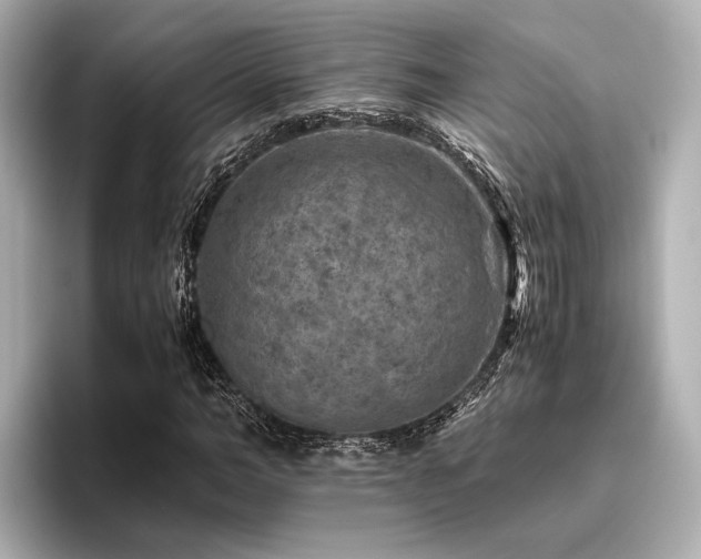 X0000096480966200801241441