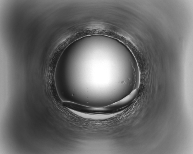 X0000096480967200801241441