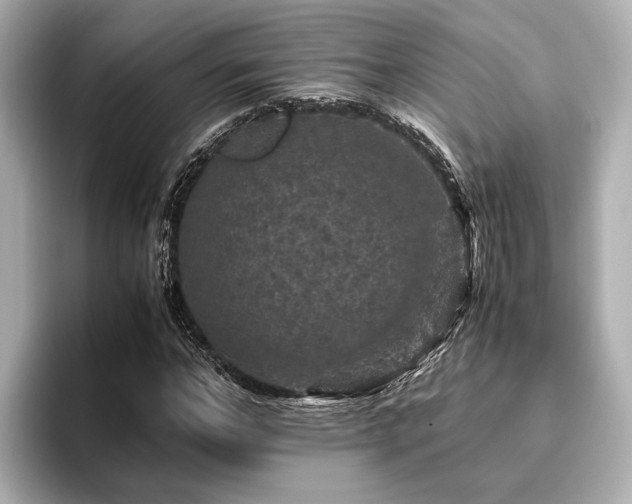 X0000096480968200801241441