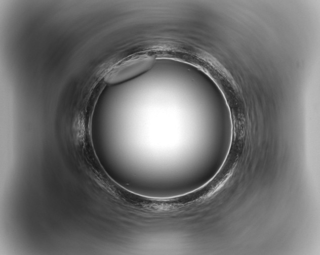 X0000096480969200801241441