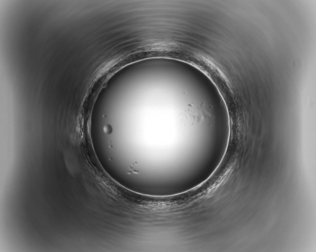 X0000096480970200801241441