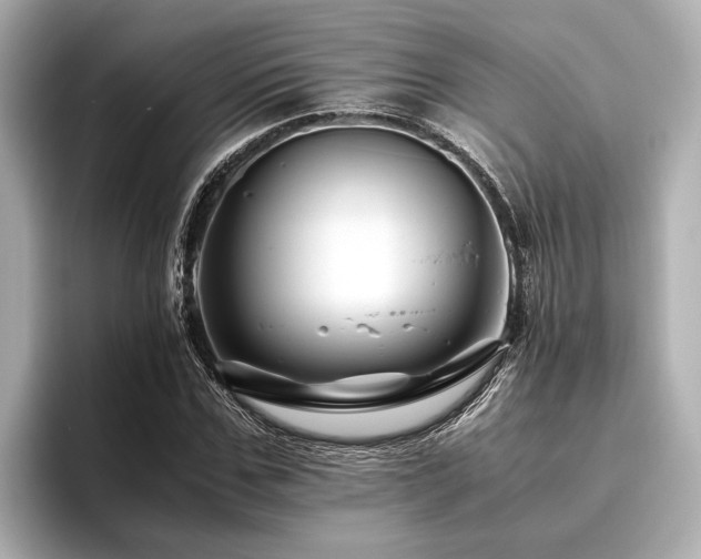 X0000096480971200801241441