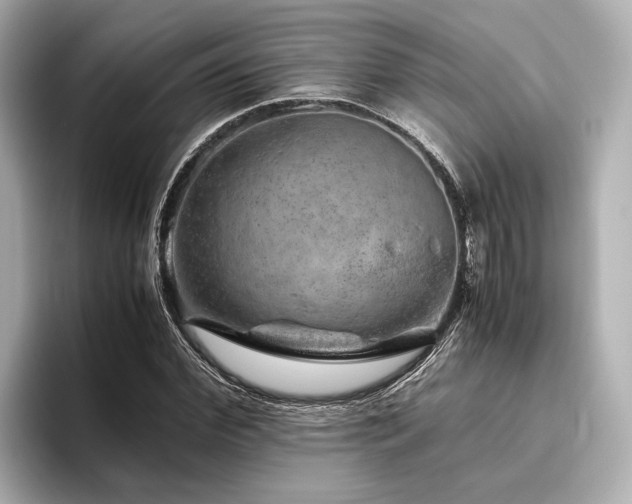 X0000096480972200801241441