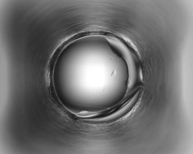 X0000096480973200801241441