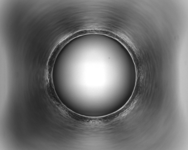 X0000096480974200801241441