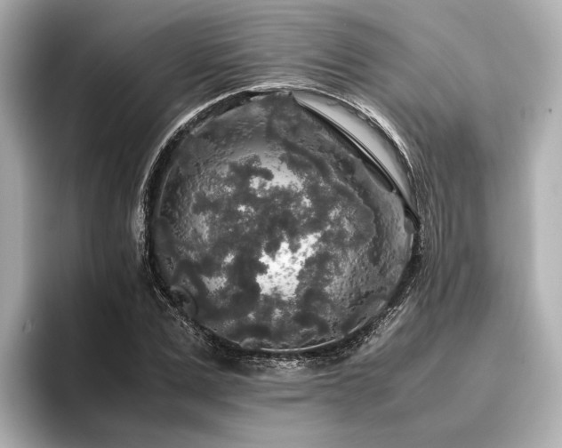 X0000096480975200801241441