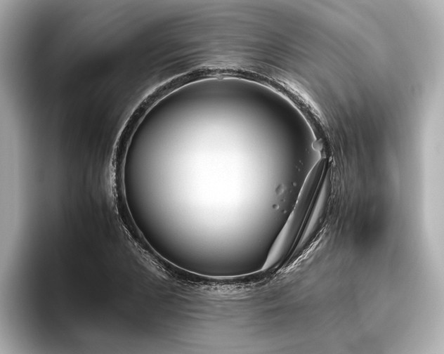 X0000096480976200801241441