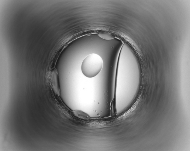 X0000096480977200801241441