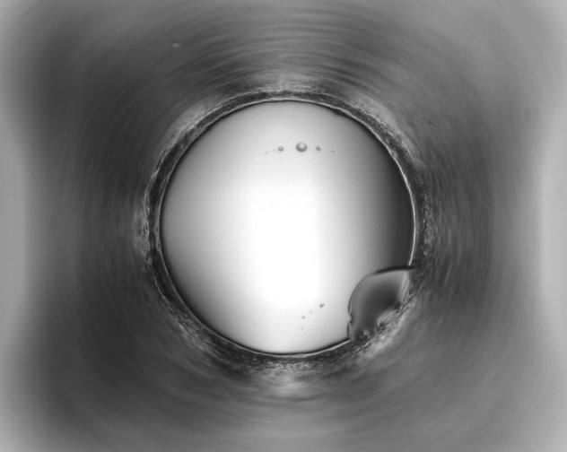 X0000096480978200801241441