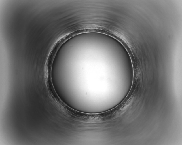 X0000096480979200801241441