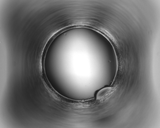 X0000096480980200801241441