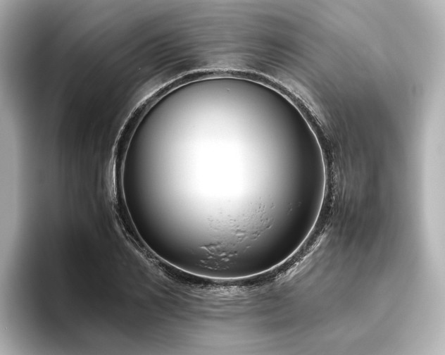 X0000096480982200801241441