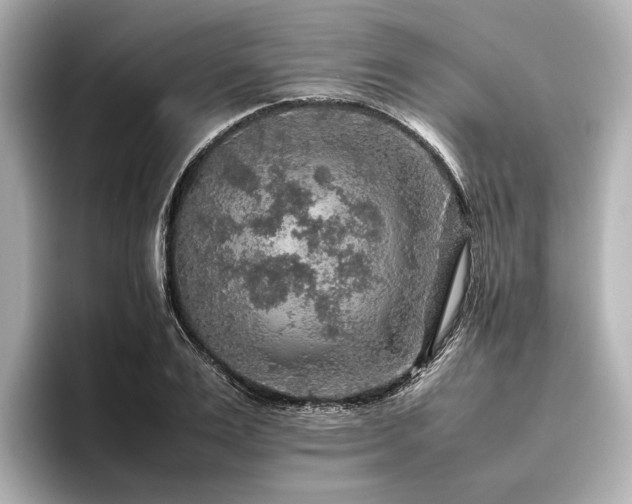 X0000096480983200801241441