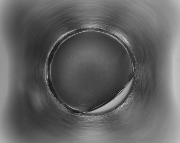 X0000096480984200801241441