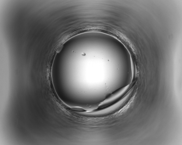 X0000096480985200801241441