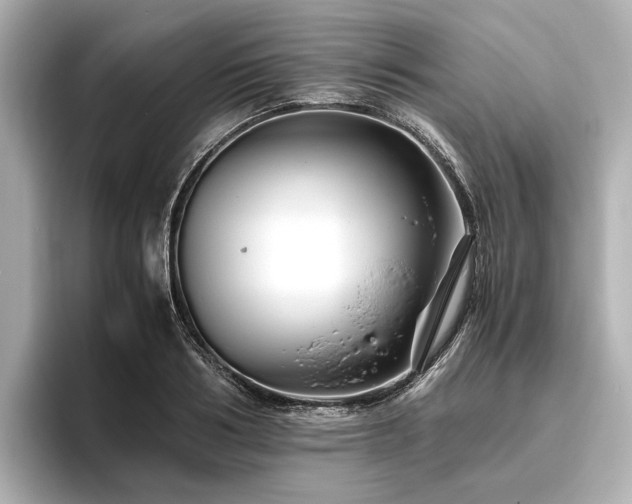 X0000096480986200801241441