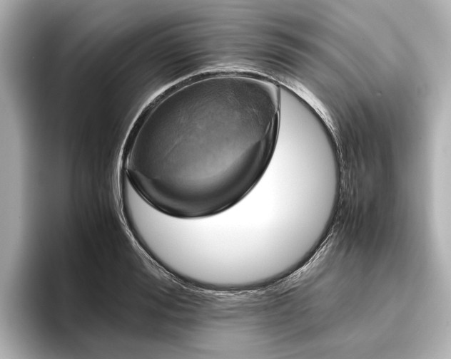 X0000096480988200801241441