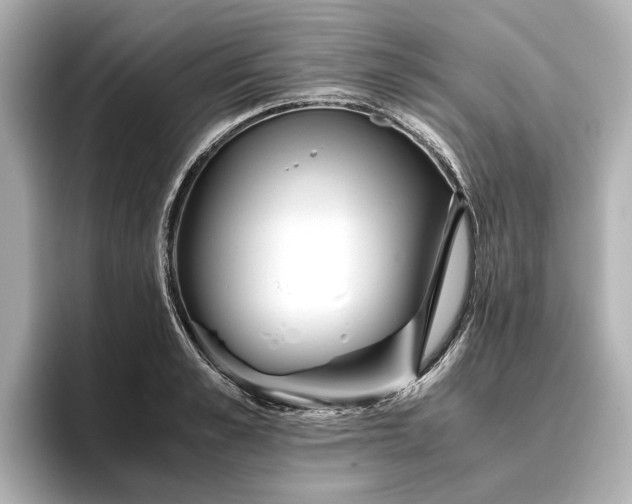 X0000096480989200801241441